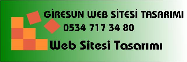 giresun web sitesi tasarımı